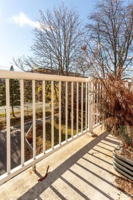 Free Parking, Beautiful 4 1/2- 2 Bedroom Apartment Montréal Exteriör bild